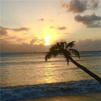 云平台登录注册入口